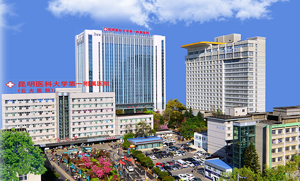 Kunming Medical University campus buildings, Yunnan