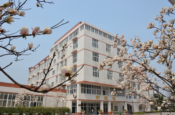 Southwest Medical University campus building with cherry blossoms, Luzhou, Sichuan Province